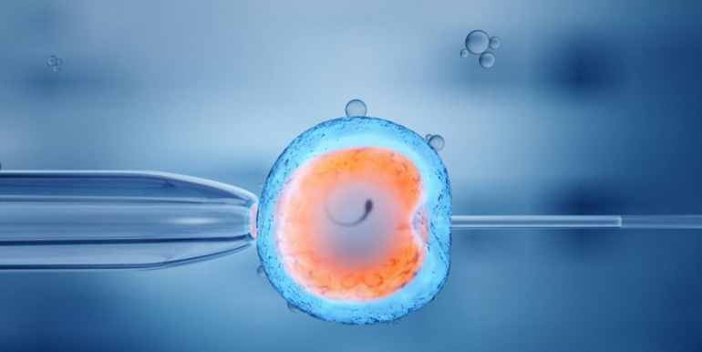 frozenembryo